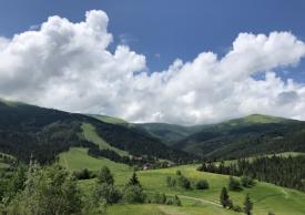 Земельні ділянки в Пилипці